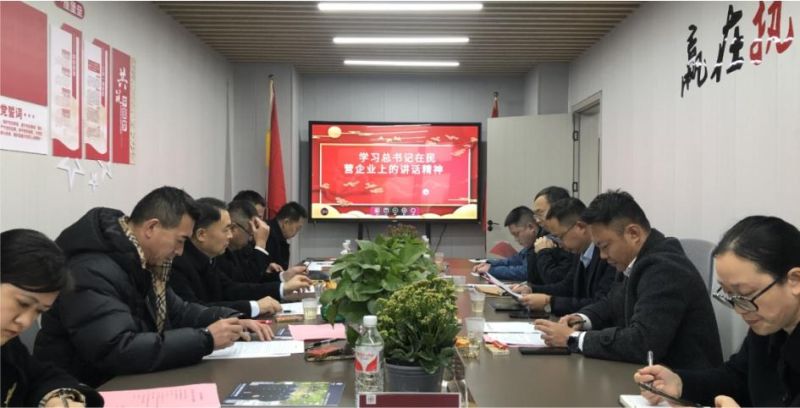 深入學(xué)習(xí)習(xí)總書記在民營企業(yè)座談會上的重要講話精神